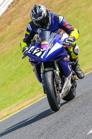 anglesey;brands-hatch;cadwell-park;croft;donington-park;enduro-digital-images;event-digital-images;eventdigitalimages;mallory;no-limits;oulton-park;peter-wileman-photography;racing-digital-images;silverstone;snetterton;trackday-digital-images;trackday-photos;vmcc-banbury-run;welsh-2-day-enduro